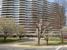 6301 Stevenson Ave, #913, Alexandria, VA
22304